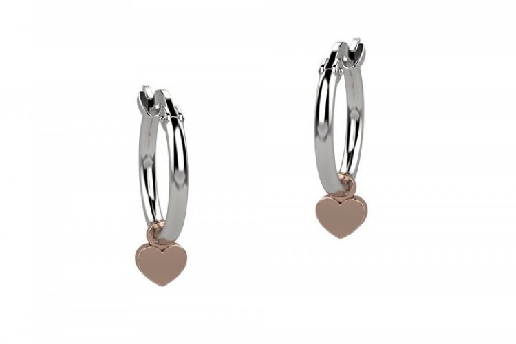 Linea Argento | Orecchino | NAN0130