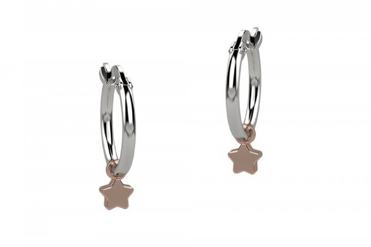 Linea Argento | Orecchino | NAN0132