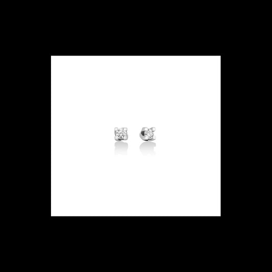 Diamanti | Orecchini | ERD5068-024G7