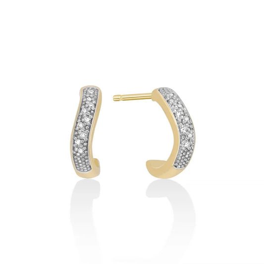 Diamanti | Orecchini | ERD2900BGX