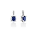 Diamanti | Orecchini | ERD2471