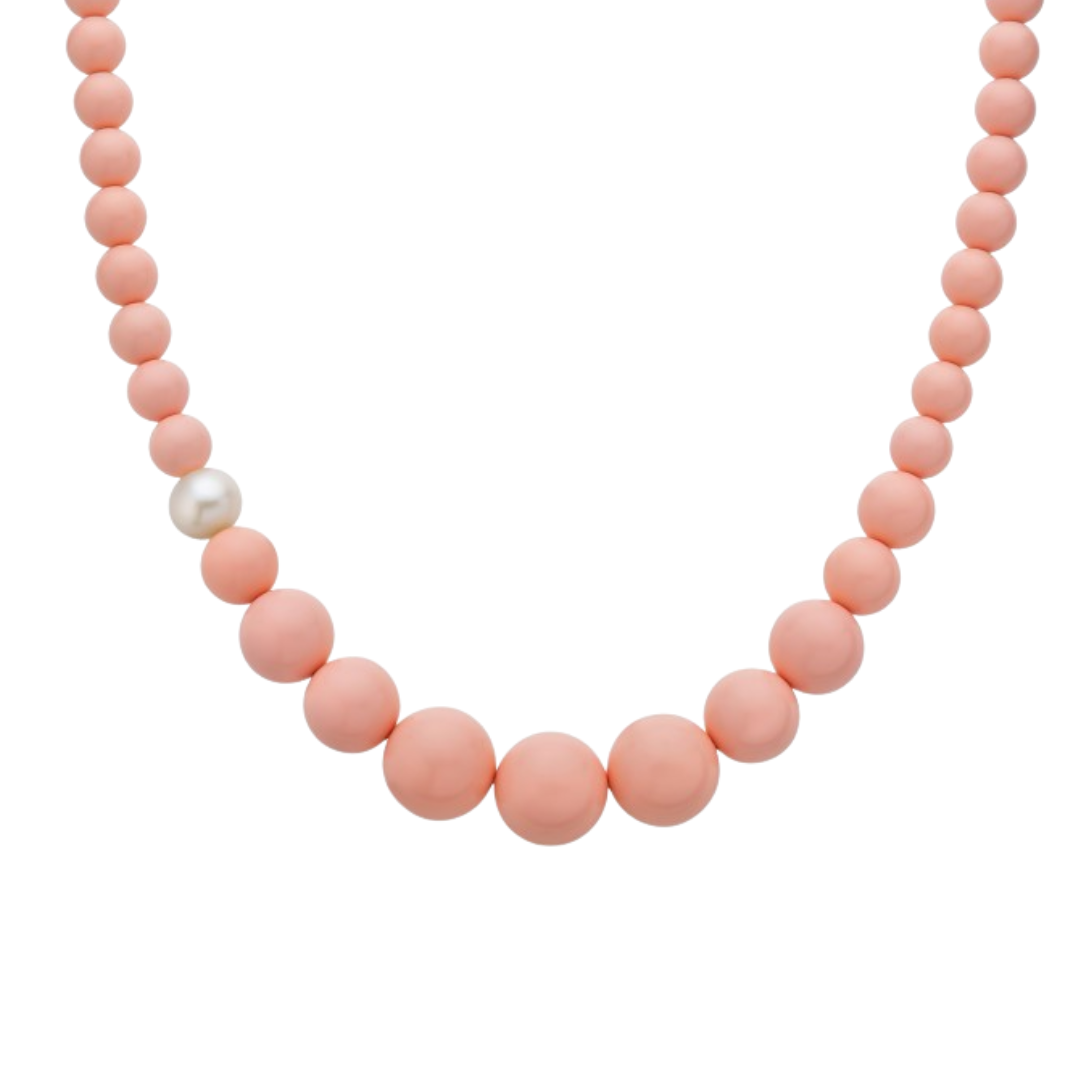 Terra e Mare | Collana | PCL5079