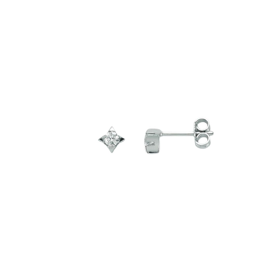 Diamanti | Orecchini | ERD1590-004G7