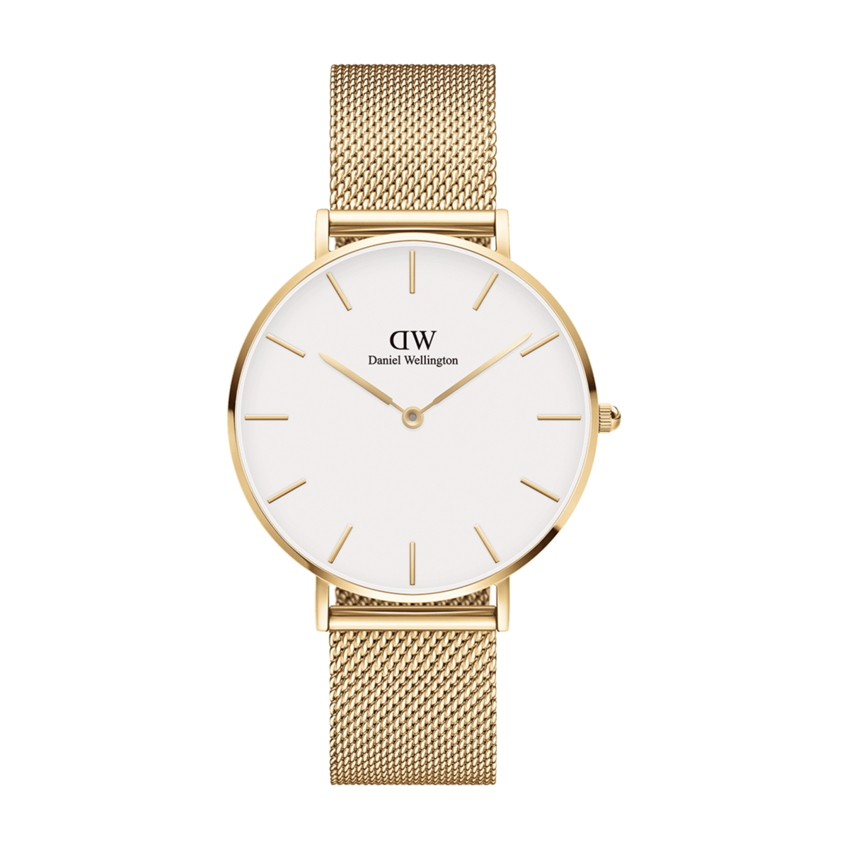 Daniel Wellington | Orologio | Petite Evergold
