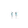 Diamanti | Orecchini | ERD2679