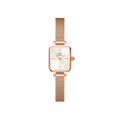 DANIEL WELLINGTON | Orologio | DW00100651