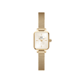DANIEL WELLINGTON | Orologio | DW00100656