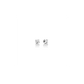 Diamanti | Orecchini | ERD5068-024G7