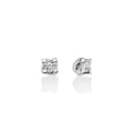 Diamanti | Orecchini | ERD5068-014G7