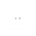 Diamanti | Orecchini | ERD2307-008G7