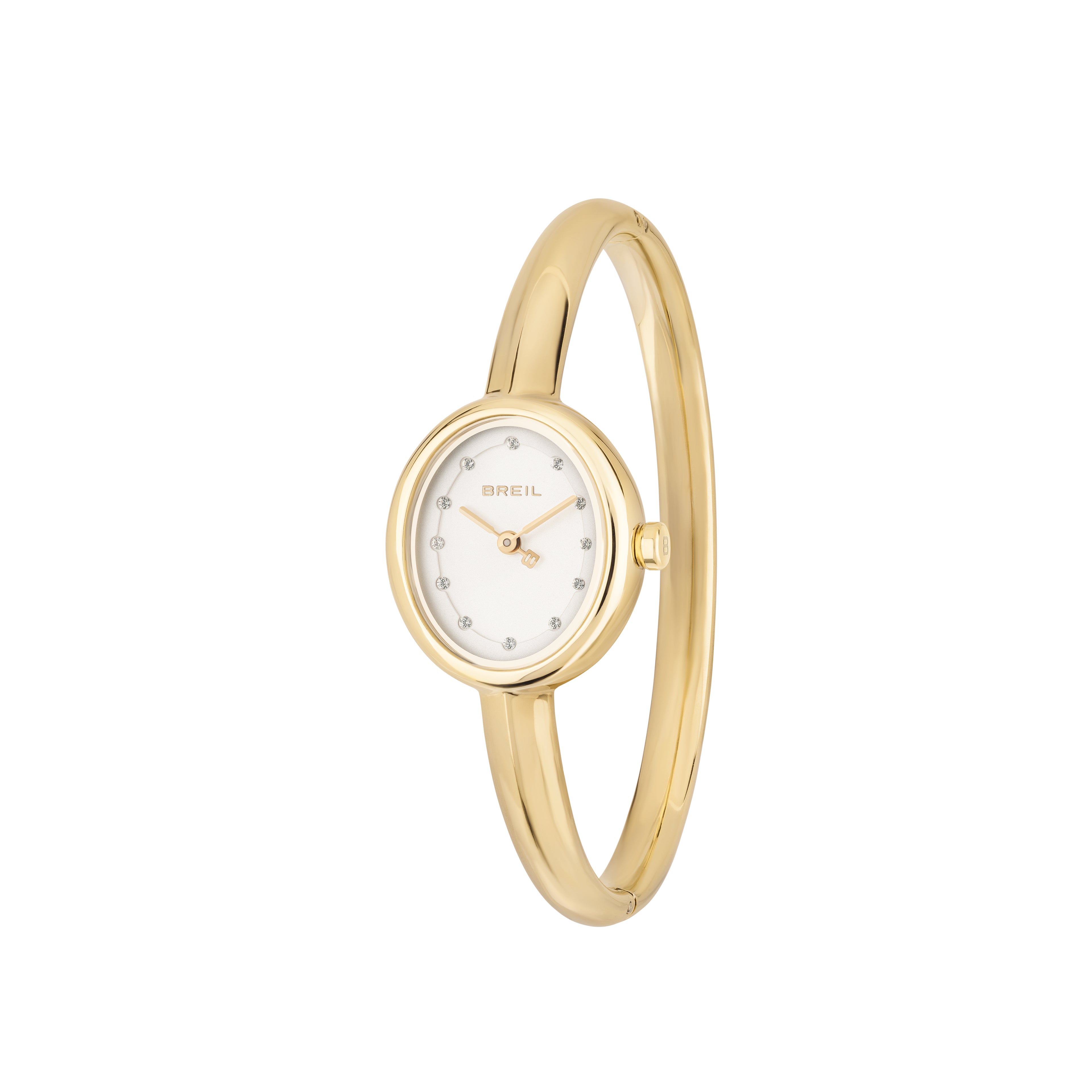 Hoop | Orologio | TW2055