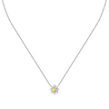 Morellato | Collana | SAIW185