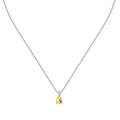 Morellato | Collana | SAIW194
