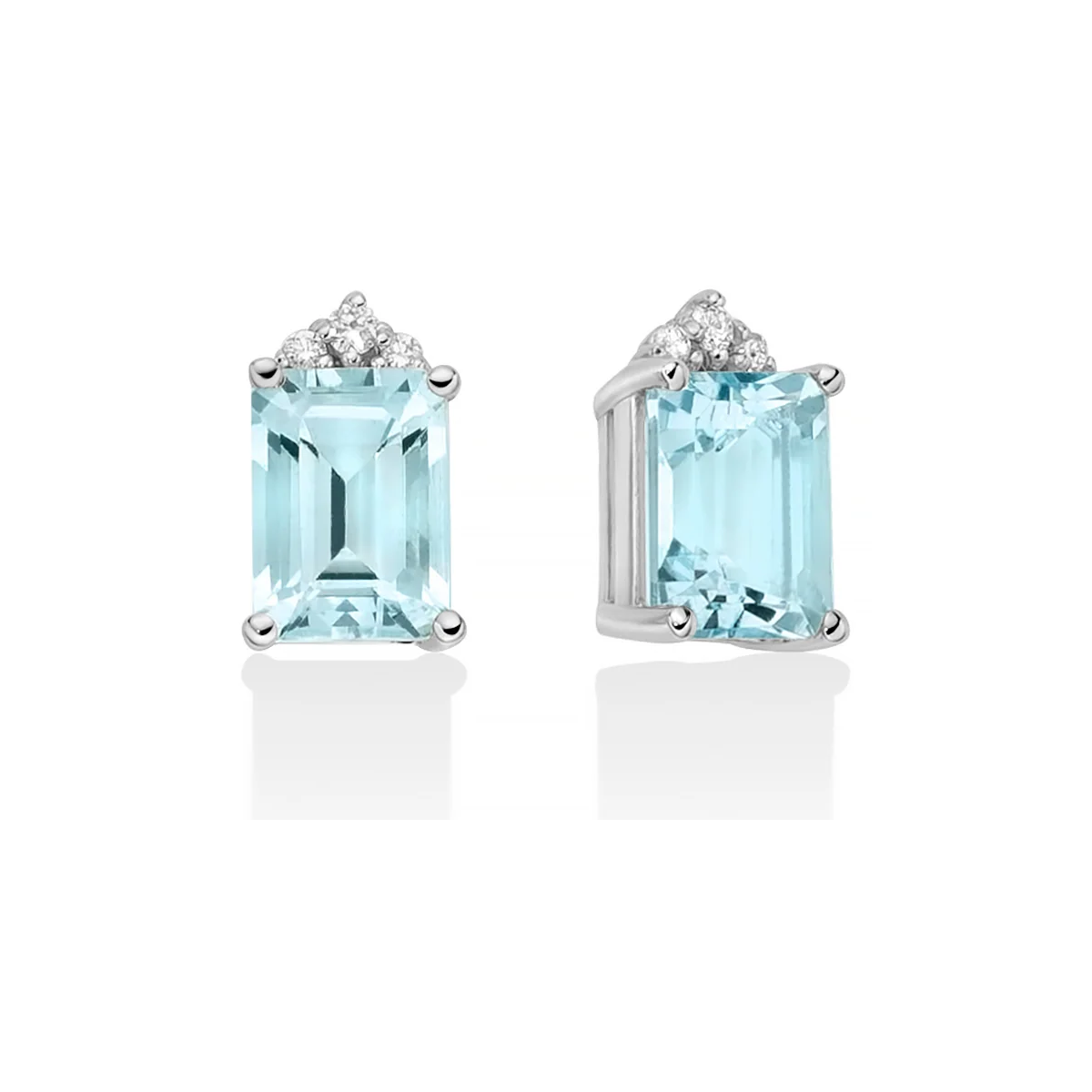 Diamanti | Orecchini | ERD2844