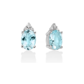 Diamanti | Orecchini | ERD2845