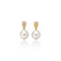 Perle | Orecchini | PER2739G