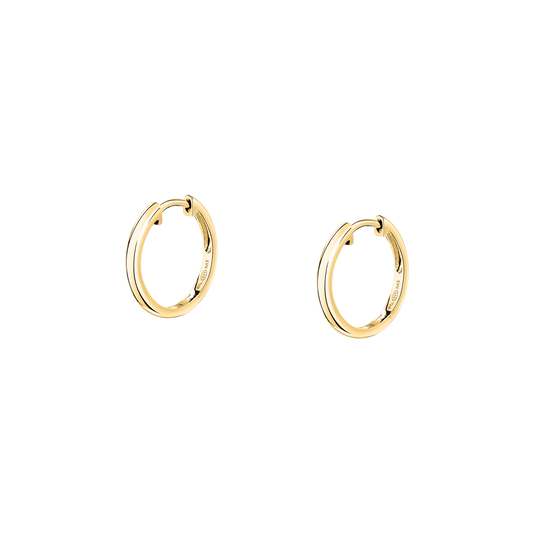 Morellato | Orecchini | SAIW249