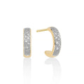 Diamanti | Orecchini | ERD2899BGX