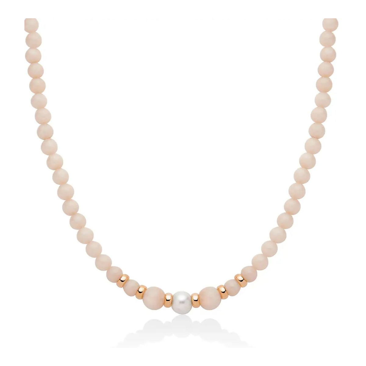 I Segreti della Natura | Collana | PCL6563