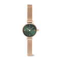 Daniel Wellington | Orologio | Petite Mini Melrose