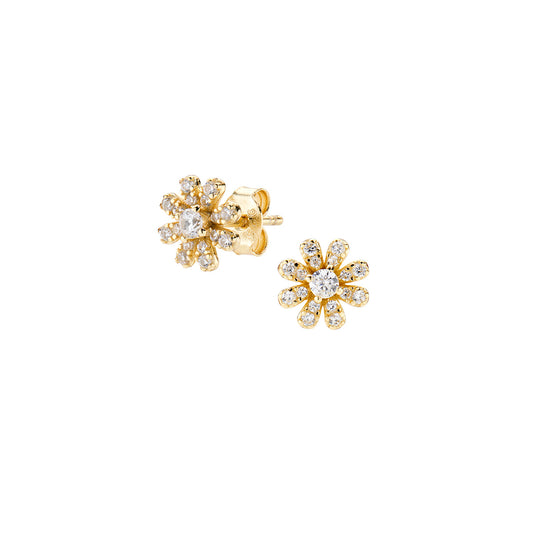 Coccole Luxury | Orecchini | ORFIPGBZ3