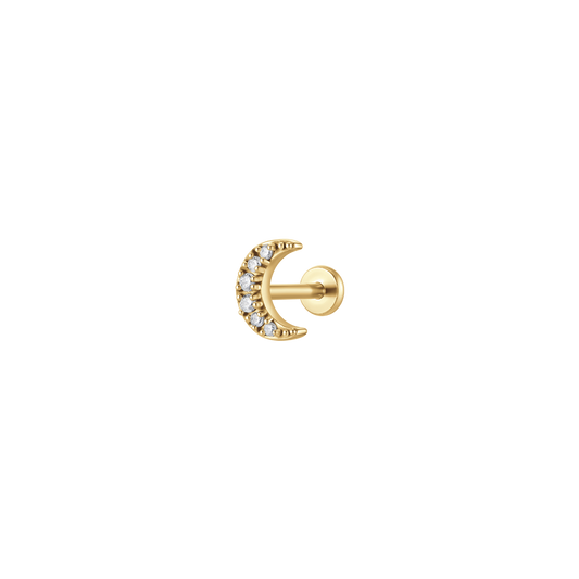 Luca Barra Donna | Piercing | PR108