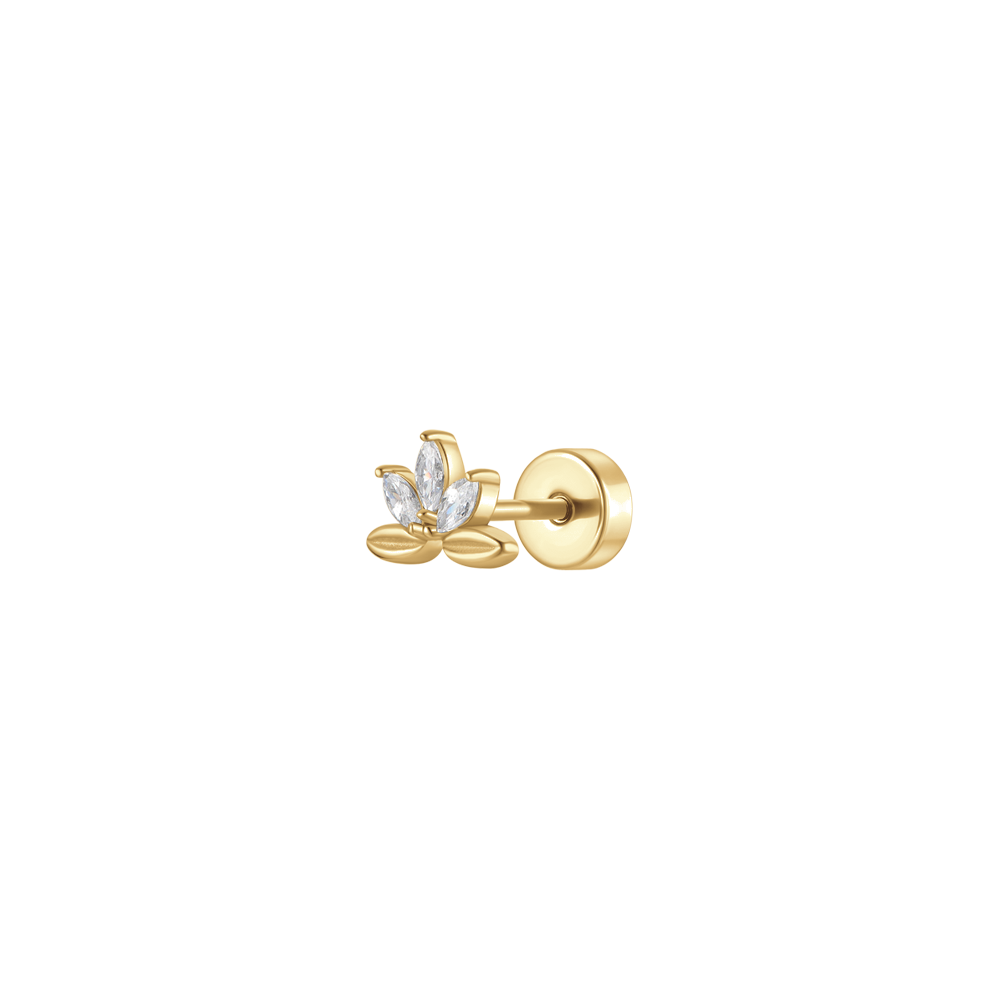 Luca Barra Donna | Piercing | PR119