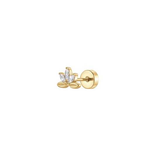 Luca Barra Donna | Piercing | PR119