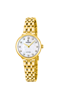Festina | Orologio | F20745/1