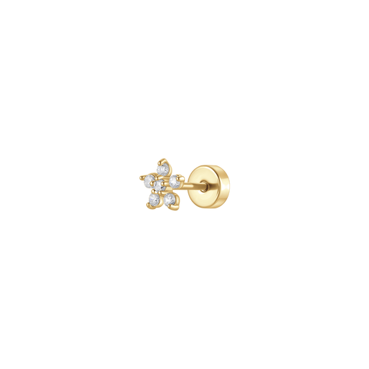 Luca Barra Donna | Piercing | PR125