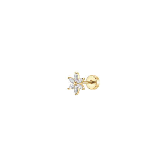 Luca Barra Donna | Piercing | PR121