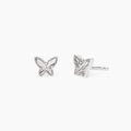 Mabina Donna | Orecchini | 563978