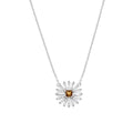 Margherite | collana | CLFLDABBBRZ