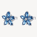 Fancy | Orecchini | FFB146