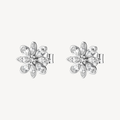 Fancy | Orecchini | FIW192