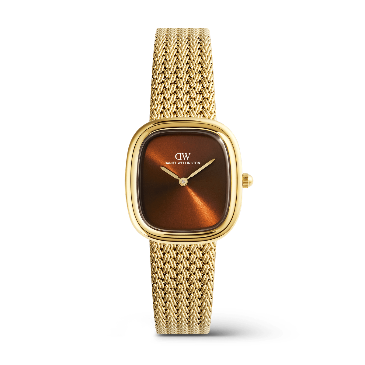 DANIEL WELLINGTON | Orologio | DW00100968