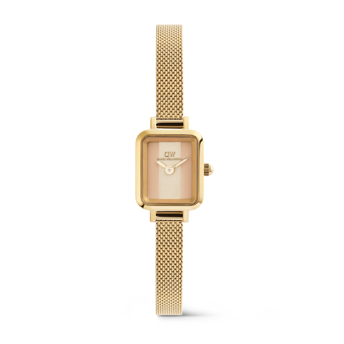 DANIEL WELLINGTON | Orologio | DW00100961