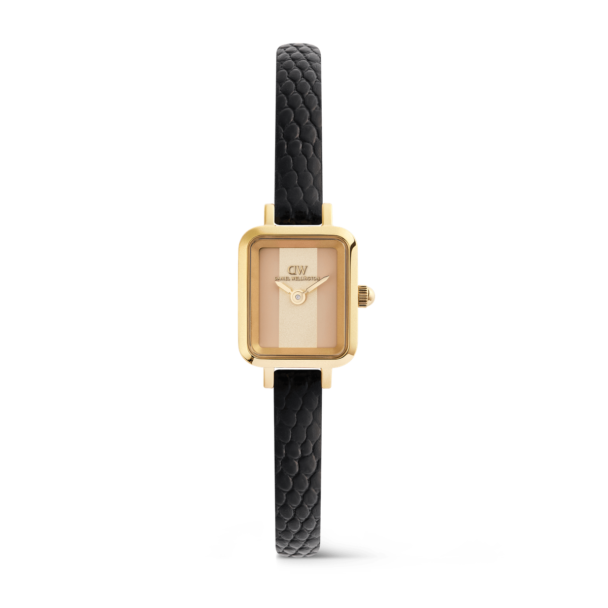 DANIEL WELLINGTON | Orologio | DW00100957