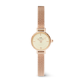 DANIEL WELLINGTON | Orologio | DW00100741