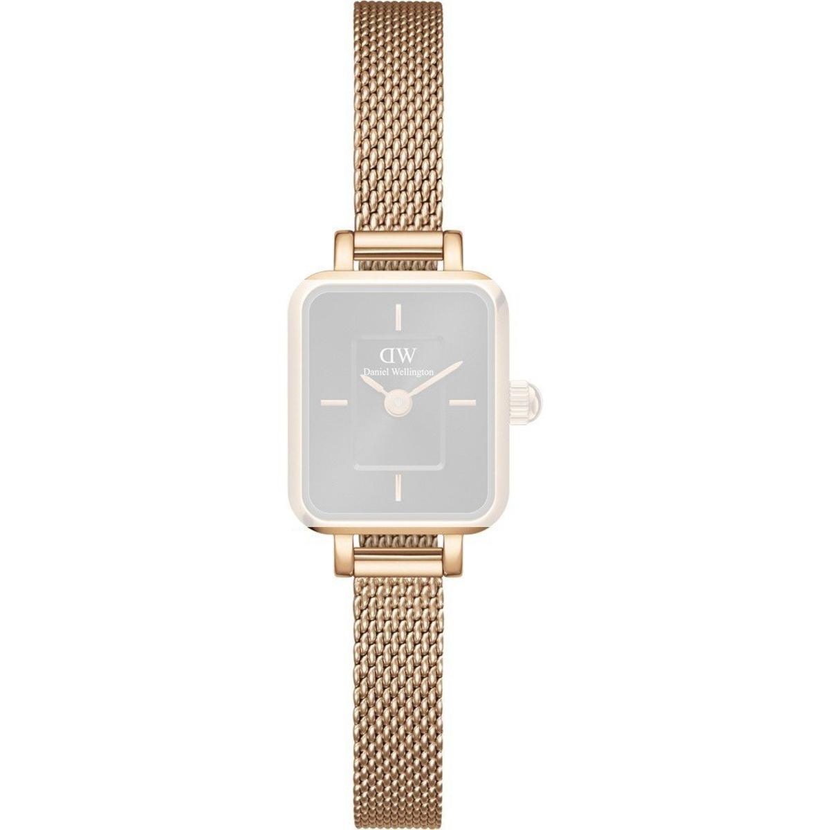 DANIEL WELLINGTON | Cinturino | DW99701531