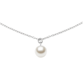 DANIEL WELLINGTON | Collana | DW00401957