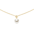 DANIEL WELLINGTON | Collana | DW00401958