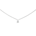 DANIEL WELLINGTON | Collana | DW00401966