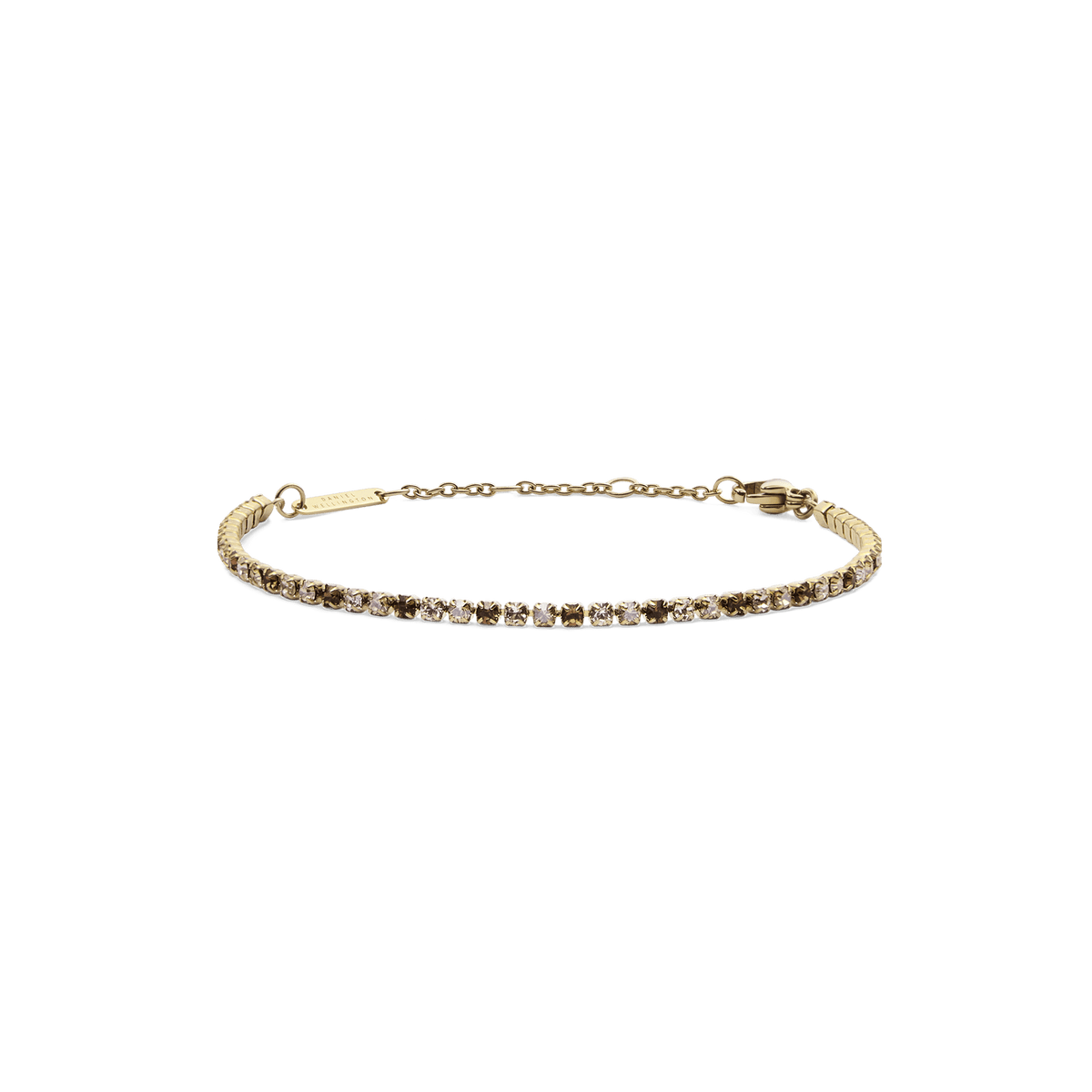 DANIEL WELLINGTON | Bracciale | DW00401113